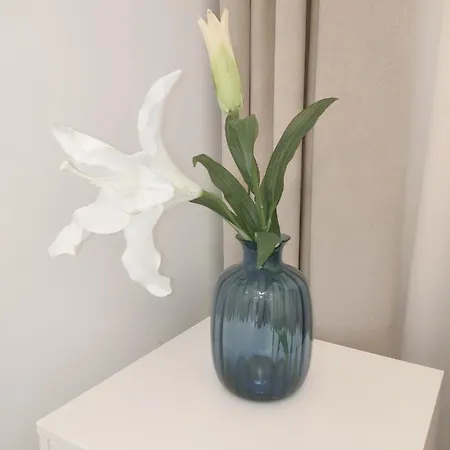 Apartament White Szklarska Poręba