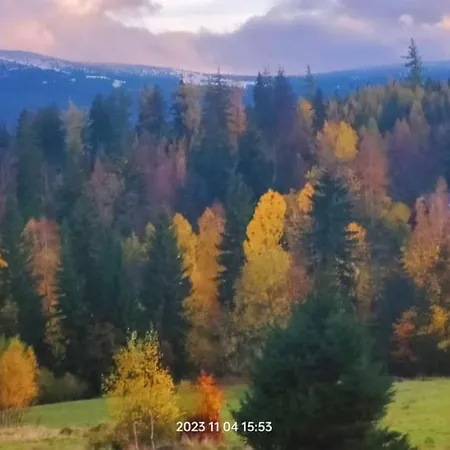 Zeromskiego 15c Biala Dolina *