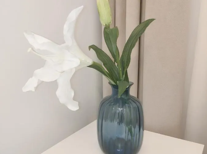 Appartement White Szklarska Poreba